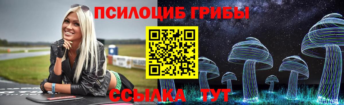Михайловск  Псилоцибиновые грибы прущие грибы  Вход с VPN 