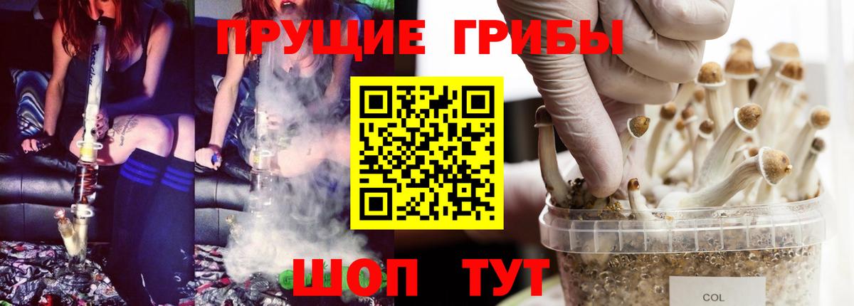 Псилоцибиновые грибы мицелий Михайловск